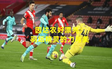  因达农好漂亮：羽坛精灵的力与美