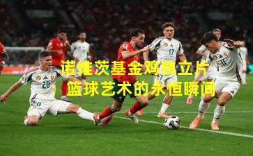  诺维茨基金鸡独立片：篮球艺术的永恒瞬间